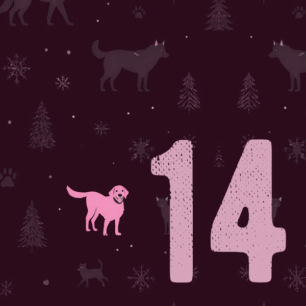 door-Tag 14 - 3. Advent