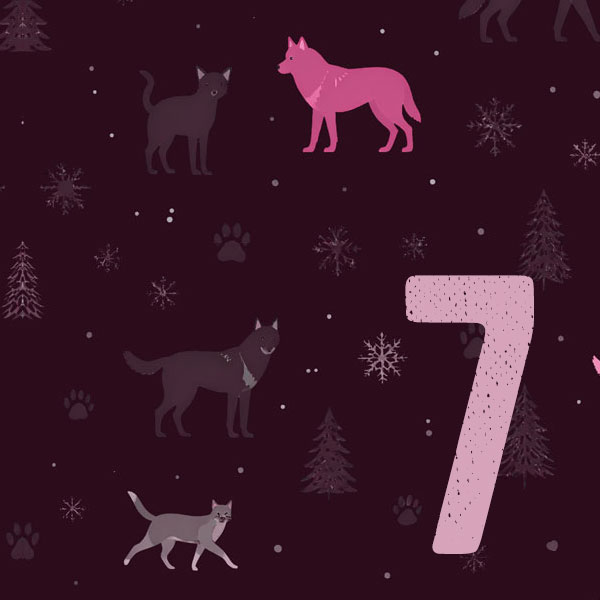 door-Tag 7 - 2. Advent