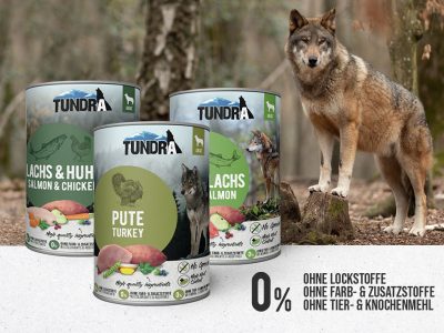 Tundra w nowym wydaniu