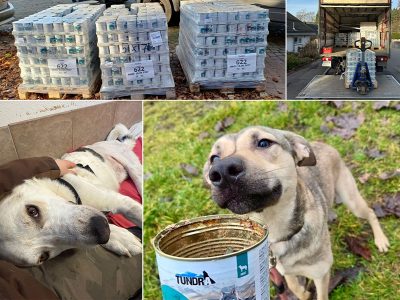 PM_Donaciones2025_2601